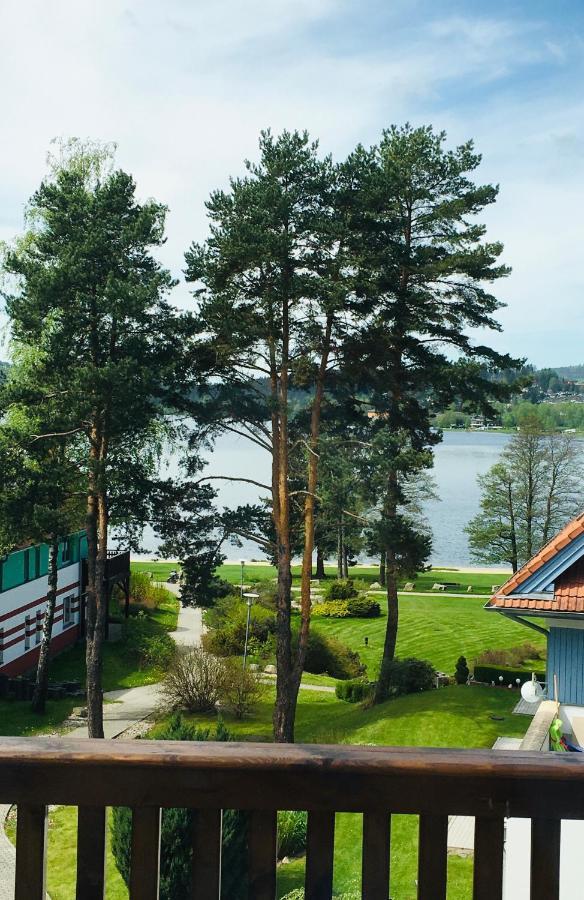 Lipno Beach Apartment Липно-над-Влтавой Экстерьер фото