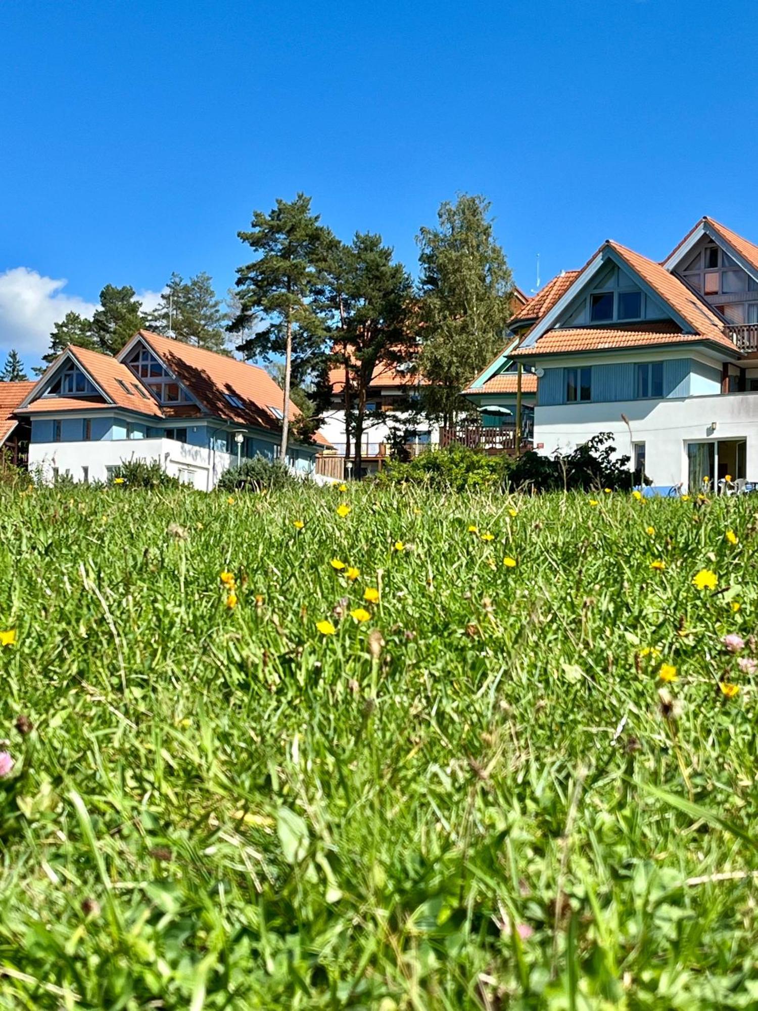 Lipno Beach Apartment Липно-над-Влтавой Экстерьер фото